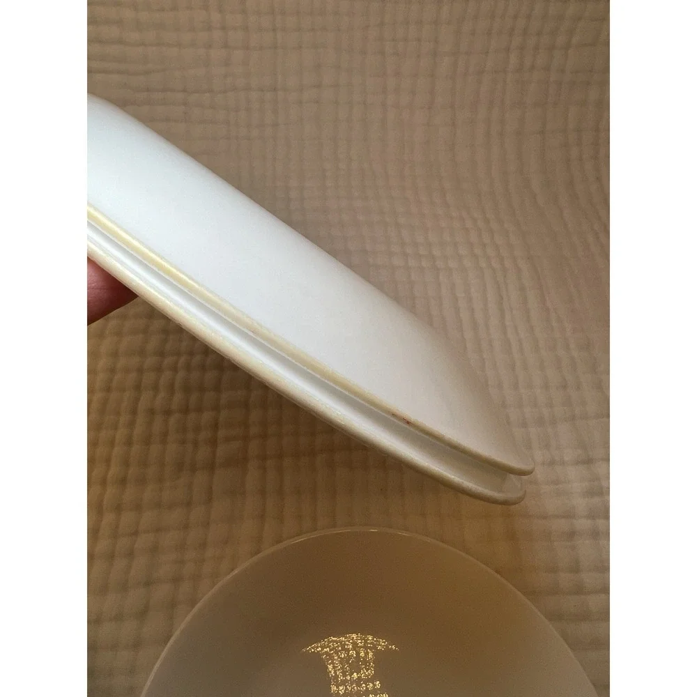 Corelle Winter Frost White Replacement Plates Lot 2 Dinner 2 Salad Corning USA